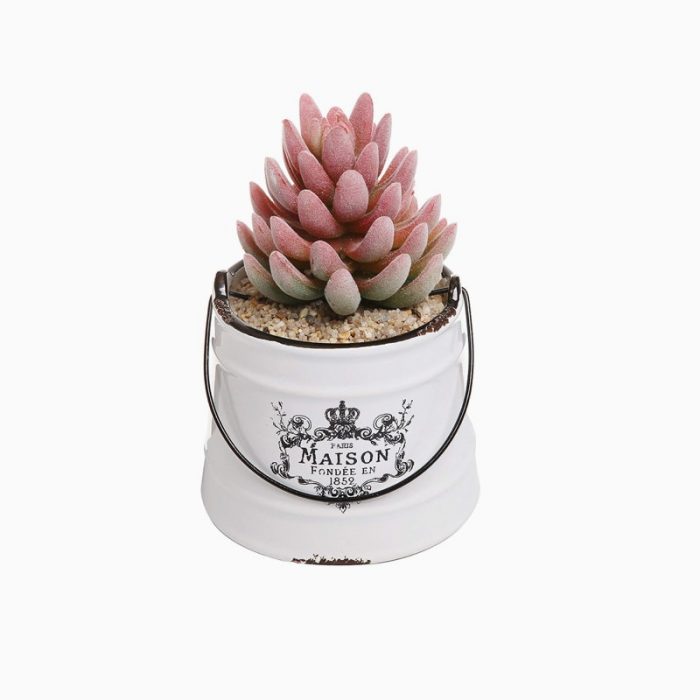 گل گاوپنبه ای