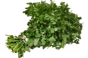 جعفری تازه