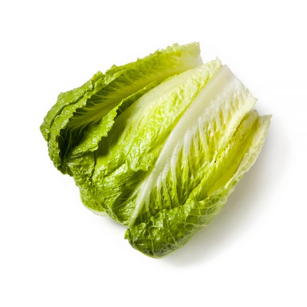 کاهو تازه