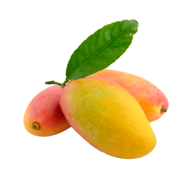 انبه دستچین شده