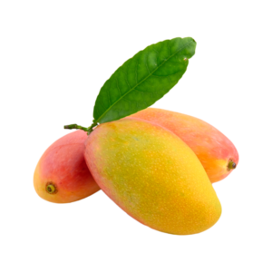 انبه دستچین شده