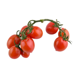 گوجه گیلاسی