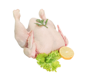 مرغ کامل تازه