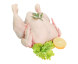 مرغ کامل تازه