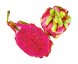 میوه دراگون قرمز