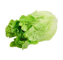 کاهو