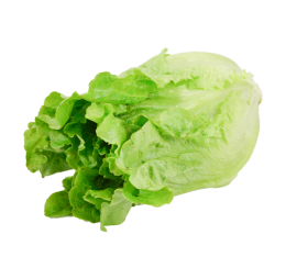 کاهو