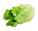 کاهو