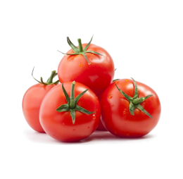 گوجه فرنگی تازه