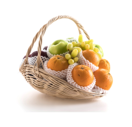 سبد میوه گیاهی