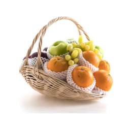 سبد میوه گیاهی