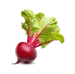تربچه