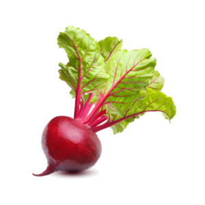 تربچه